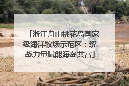 浙江舟山桃花岛国家级海洋牧场示范区：统战力量赋能海岛共富