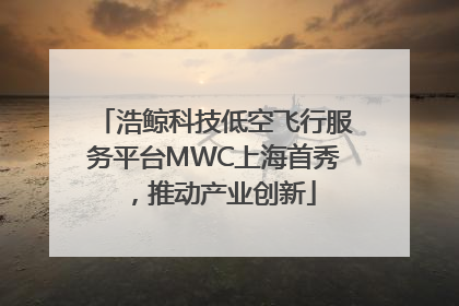 浩鲸科技低空飞行服务平台MWC上海首秀，推动产业创新