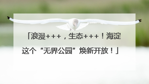 浪漫+++，生态+++！海淀这个“无界公园”焕新开放！