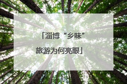 淄博“乡味”旅游为何亮眼
