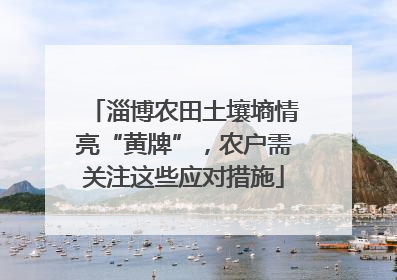 淄博农田土壤墒情亮“黄牌”，农户需关注这些应对措施