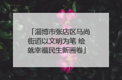 淄博市张店区马尚街道以文明为笔 绘就幸福民生新画卷