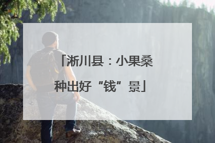 淅川县：小果桑种出好“钱”景