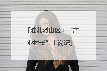淮北烈山区：“产业村长”上岗记