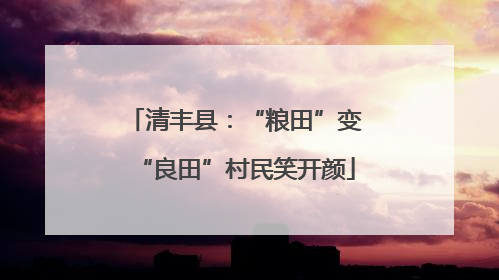 清丰县：“粮田”变“良田”村民笑开颜