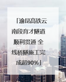 渝昆高铁云南段育才隧道顺利贯通 全线桥隧施工完成超90%