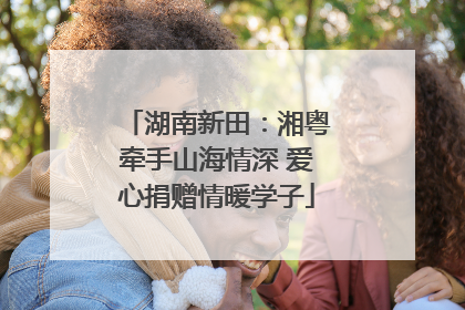湖南新田：湘粤牵手山海情深 爱心捐赠情暖学子