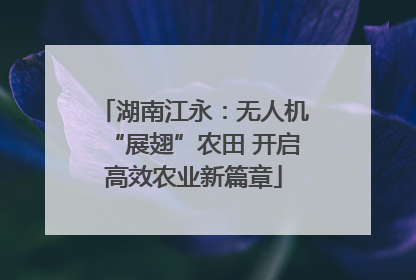 湖南江永：无人机“展翅”农田 开启高效农业新篇章
