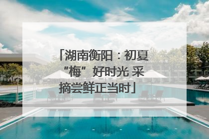 湖南衡阳：初夏“梅”好时光 采摘尝鲜正当时