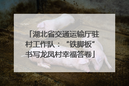 湖北省交通运输厅驻村工作队：“铁脚板”书写龙凤村幸福答卷