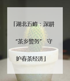 湖北五峰：深耕“茶乡警务” 守护春茶经济