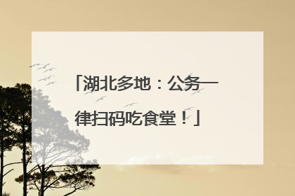 湖北多地：公务一律扫码吃食堂！