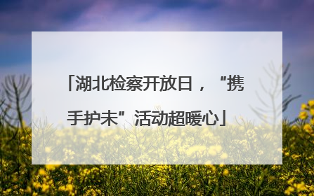 湖北检察开放日，“携手护未”活动超暖心