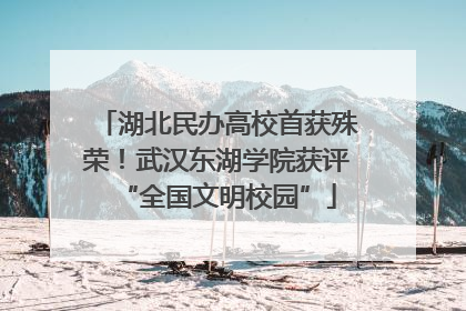 湖北民办高校首获殊荣！武汉东湖学院获评“全国文明校园”