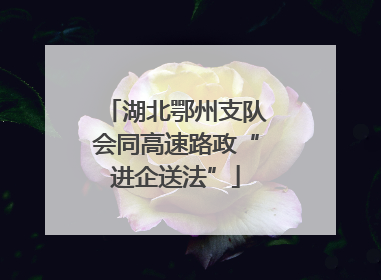 湖北鄂州支队会同高速路政“进企送法”