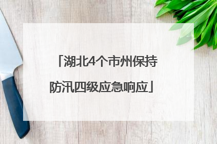 湖北4个市州保持防汛四级应急响应