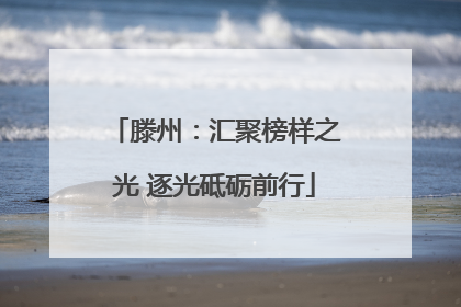 滕州：汇聚榜样之光 逐光砥砺前行