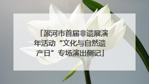 漯河市首届非遗展演年活动“文化与自然遗产日”专场演出侧记