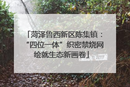菏泽鲁西新区陈集镇：“四位一体”织密禁烧网 绘就生态新画卷