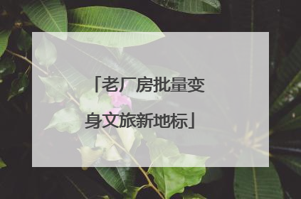 老厂房批量变身文旅新地标