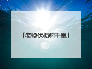 老骥伏枥骑千里