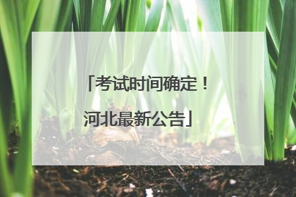 考试时间确定！河北最新公告