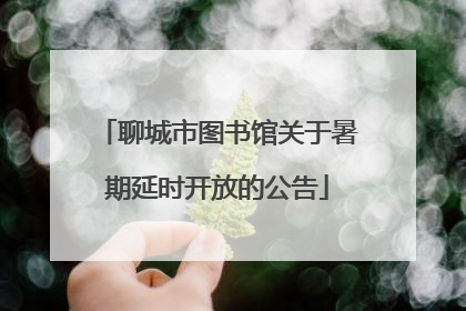 聊城市图书馆关于暑期延时开放的公告