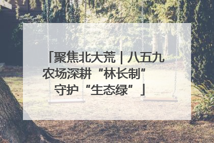 聚焦北大荒｜八五九农场深耕“林长制” 守护“生态绿”
