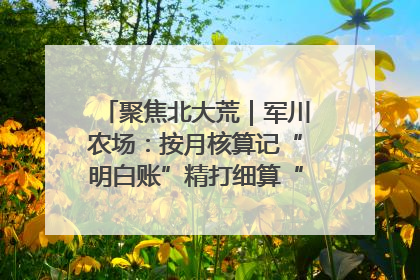 聚焦北大荒｜军川农场：按月核算记“明白账”精打细算“过紧日子”