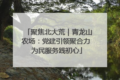 聚焦北大荒｜青龙山农场：党建引领聚合力 为民服务践初心