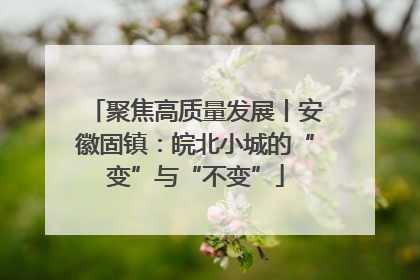 聚焦高质量发展丨安徽固镇：皖北小城的“变”与“不变”