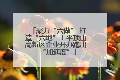 聚力“六做” 打造“六地”！平顶山高新区企业开办跑出“加速度”