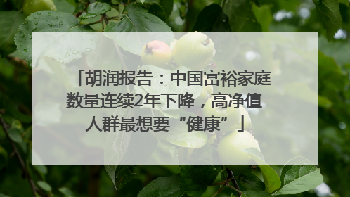 胡润报告：中国富裕家庭数量连续2年下降，高净值人群最想要“健康”