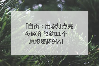 自贡：用彩灯点亮夜经济 签约11个总投资超9亿
