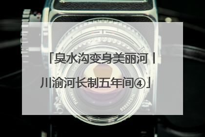 臭水沟变身美丽河丨川渝河长制五年间④