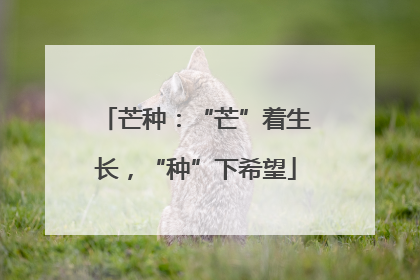 芒种：“芒”着生长，“种”下希望