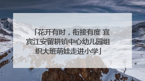 花开有时，衔接有度 宜宾江安留耕镇中心幼儿园组织大班萌娃走进小学