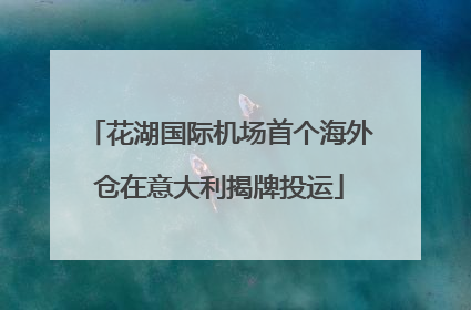 花湖国际机场首个海外仓在意大利揭牌投运