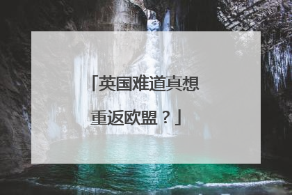 英国难道真想重返欧盟？