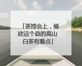 茶博会上，福建这个县的高山白茶有看点