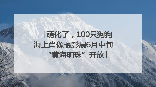 萌化了，100只狗狗海上肖像摄影展6月中旬“黄海明珠”开放