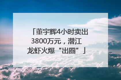董宇辉4小时卖出3800万元，潜江龙虾火爆“出圈”