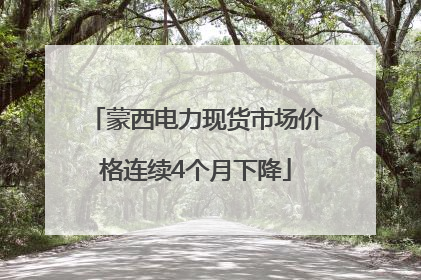 蒙西电力现货市场价格连续4个月下降