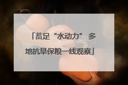 蓄足“水动力” 多地抗旱保粮一线观察