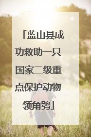 蓝山县成功救助一只国家二级重点保护动物领角鸮