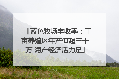 蓝色牧场丰收季：千亩养殖区年产值超三千万 海产经济活力足