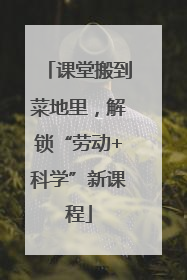 课堂搬到菜地里，解锁“劳动+科学”新课程