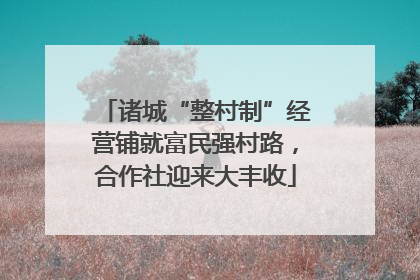 诸城“整村制”经营铺就富民强村路，合作社迎来大丰收