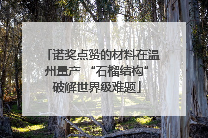 诺奖点赞的材料在温州量产 “石榴结构”破解世界级难题