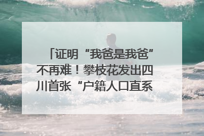证明“我爸是我爸”不再难！攀枝花发出四川首张“户籍人口直系亲属关系谱”